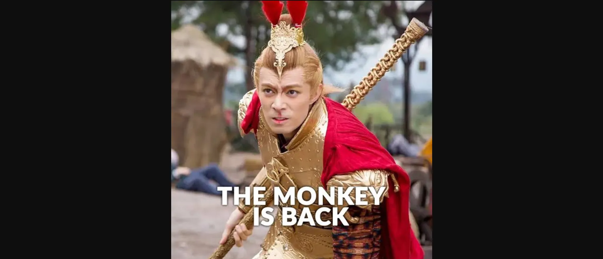 The Monkey Is Back